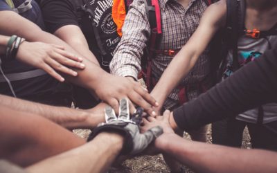 ADVANCED NGO MANAGEMENT